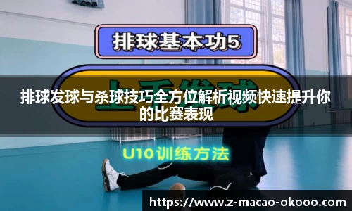 排球发球与杀球技巧全方位解析视频快速提升你的比赛表现